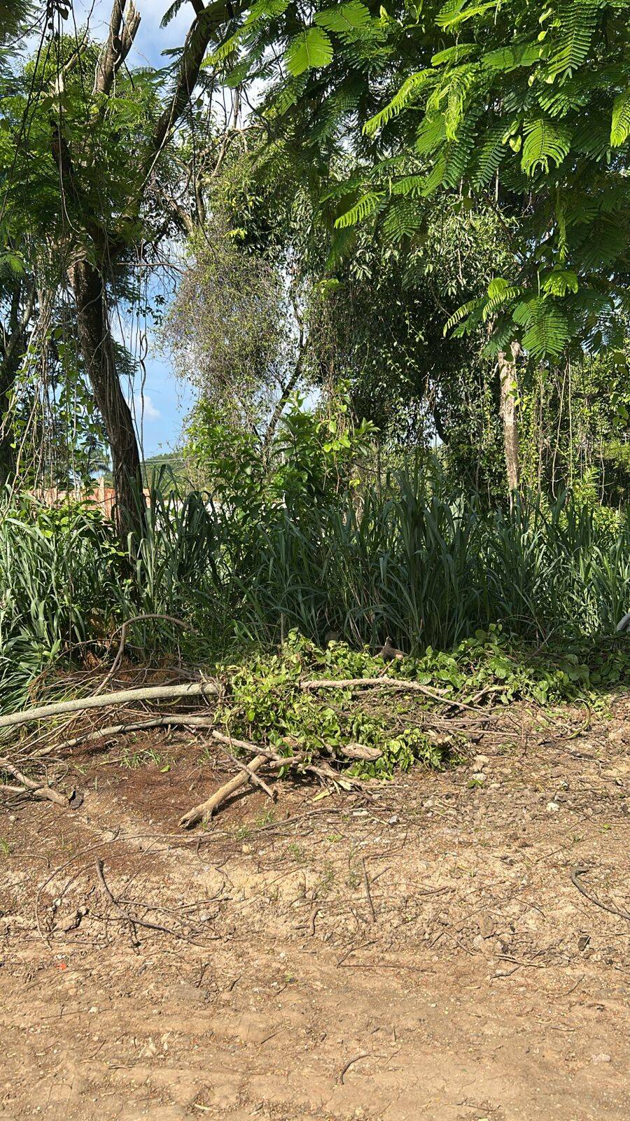 #1589 - Área para Venda em Maricá - RJ