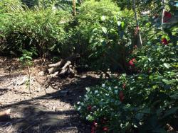 Terreno para Venda em Maricá - 3