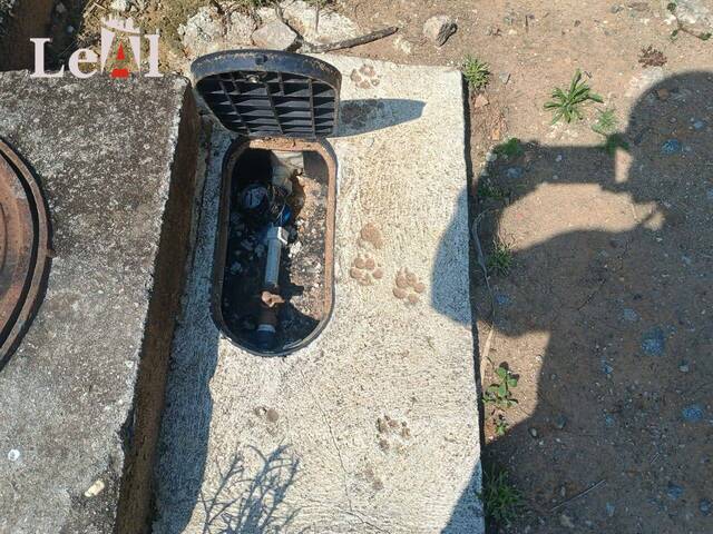 Área para Venda em Maricá - 4