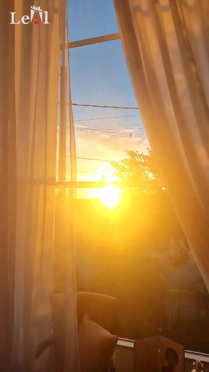 Casa, 4 quartos - Foto 20